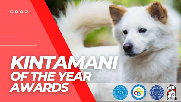 Kintamani Of The Year 2023